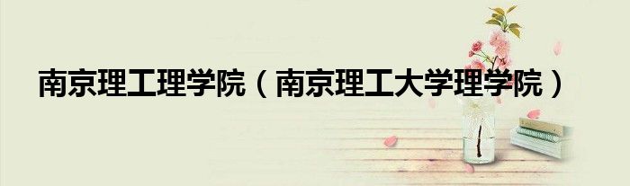 南京理工理学院（南京理工大学理学院）