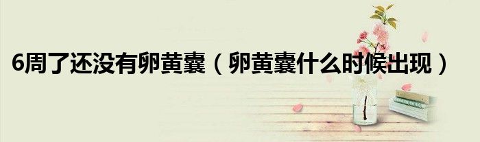 6周了还没有卵黄囊（卵黄囊什么时候出现）