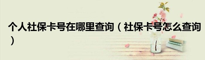 个人社保卡号在哪里查询（社保卡号怎么查询）