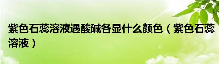 紫色石蕊溶液遇酸碱各显什么颜色（紫色石蕊溶液）