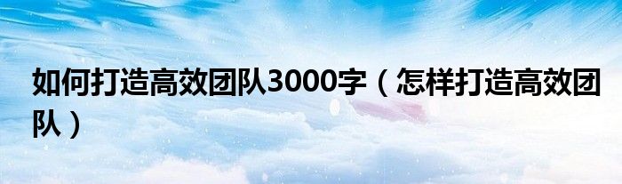 如何打造高效团队3000字（怎样打造高效团队）