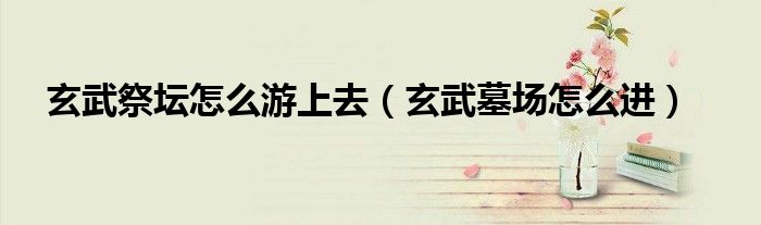 玄武祭坛怎么游上去（玄武墓场怎么进）