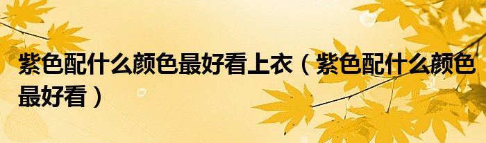 紫色配什么颜色最好看上衣（紫色配什么颜色最好看）