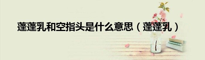 蓬蓬乳和空指头是什么意思（蓬蓬乳）