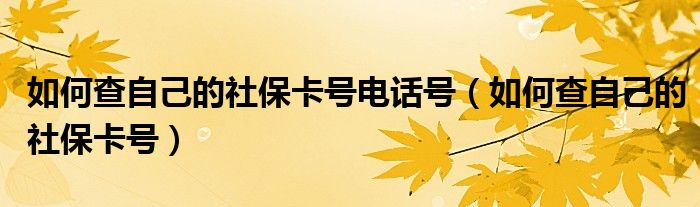 如何查自己的社保卡号电话号（如何查自己的社保卡号）