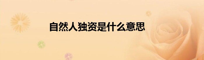 自然人独资是什么意思
