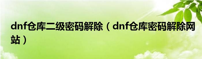 dnf仓库二级密码解除（dnf仓库密码解除网站）