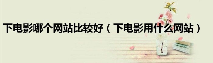 下电影哪个网站比较好（下电影用什么网站）