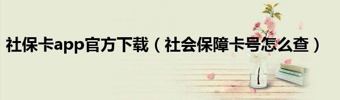 社保卡app官方下载（社会保障卡号怎么查）
