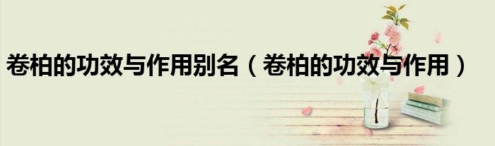 卷柏的功效与作用别名（卷柏的功效与作用）