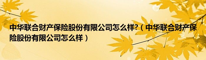 中华联合财产保险股份有限公司怎么样?（中华联合财产保险股份有限公司怎么样）