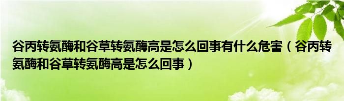 谷丙转氨酶和谷草转氨酶高是怎么回事有什么危害（谷丙转氨酶和谷草转氨酶高是怎么回事）