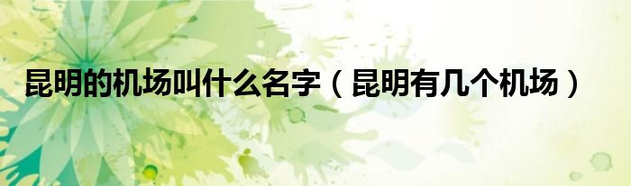 昆明的机场叫什么名字（昆明有几个机场）