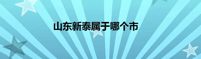 山东新泰属于哪个市