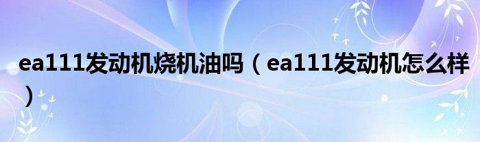 ea111发动机烧机油吗（ea111发动机怎么样）