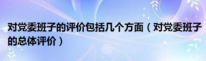 对党委班子的评价包括几个方面（对党委班子的总体评价）