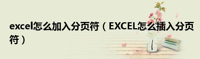 excel怎么加入分页符（EXCEL怎么插入分页符）