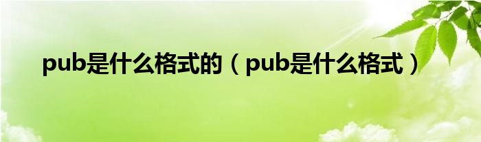 pub是什么格式的（pub是什么格式）