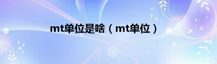 mt单位是啥（mt单位）