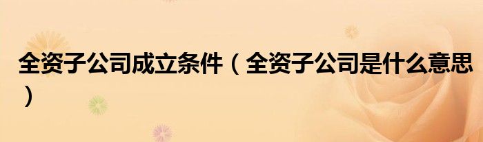 全资子公司成立条件（全资子公司是什么意思）