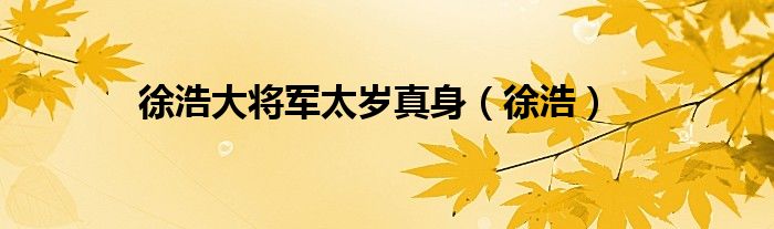 徐浩大将军太岁真身（徐浩）