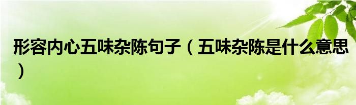 形容内心五味杂陈句子（五味杂陈是什么意思）