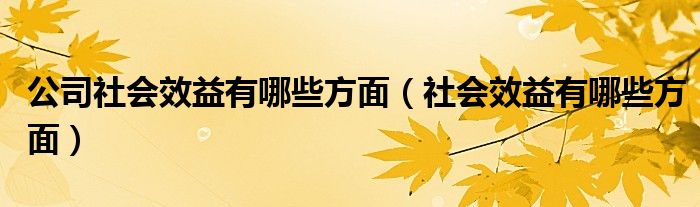 公司社会效益有哪些方面（社会效益有哪些方面）