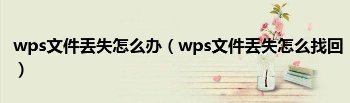 wps文件丢失怎么办（wps文件丢失怎么找回）