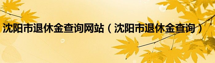 沈阳市退休金查询网站（沈阳市退休金查询）