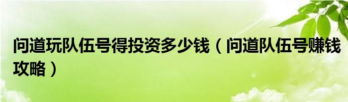 问道玩队伍号得投资多少钱（问道队伍号赚钱攻略）