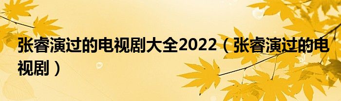 张睿演过的电视剧大全2022（张睿演过的电视剧）