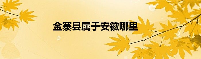金寨县属于安徽哪里