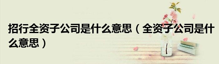 招行全资子公司是什么意思（全资子公司是什么意思）