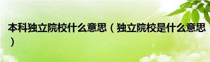 本科独立院校什么意思（独立院校是什么意思）