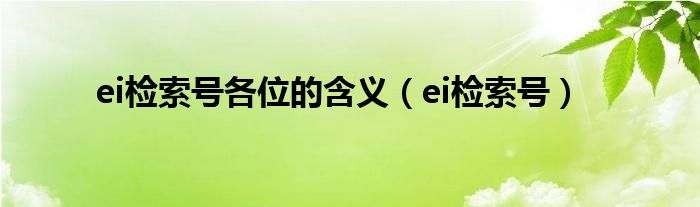 ei检索号各位的含义（ei检索号）