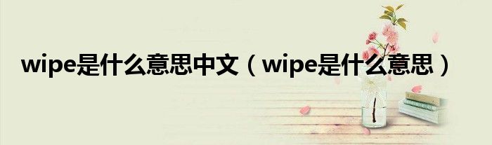 wipe是什么意思中文（wipe是什么意思）