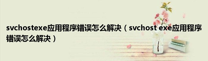 svchostexe应用程序错误怎么解决（svchost exe应用程序错误怎么解决）