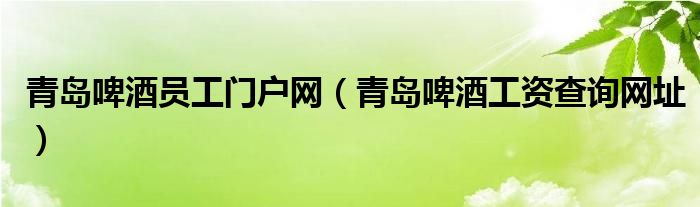 青岛啤酒员工门户网（青岛啤酒工资查询网址）