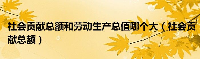 社会贡献总额和劳动生产总值哪个大（社会贡献总额）