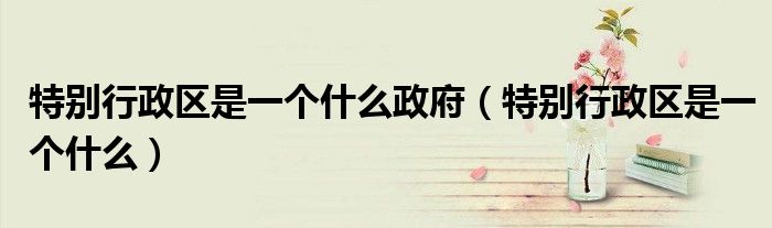 特别行政区是一个什么政府（特别行政区是一个什么）