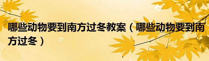 哪些动物要到南方过冬教案（哪些动物要到南方过冬）