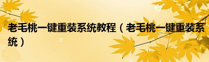 老毛桃一键重装系统教程（老毛桃一键重装系统）
