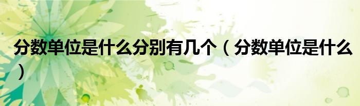 分数单位是什么分别有几个（分数单位是什么）