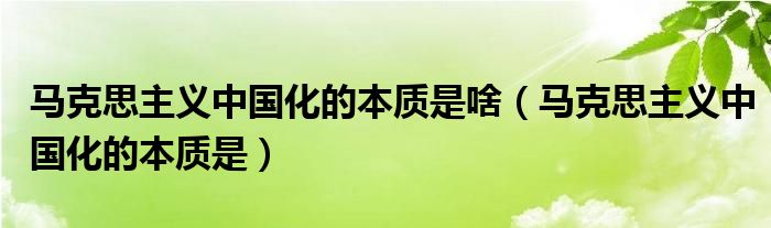 马克思主义中国化的本质是啥（马克思主义中国化的本质是）