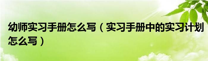 幼师实习手册怎么写（实习手册中的实习计划怎么写）
