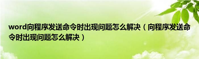 word向程序发送命令时出现问题怎么解决（向程序发送命令时出现问题怎么解决）