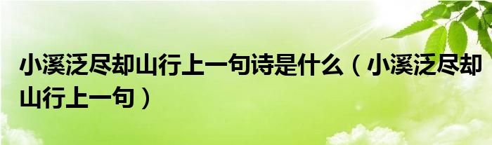 小溪泛尽却山行上一句诗是什么（小溪泛尽却山行上一句）