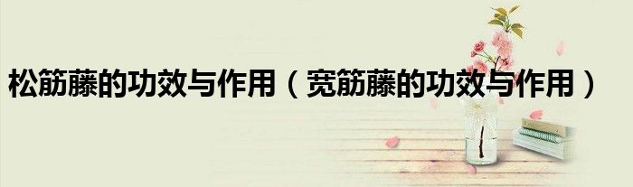 松筋藤的功效与作用（宽筋藤的功效与作用）