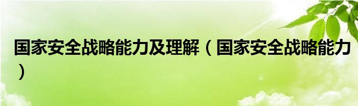 国家安全战略能力及理解（国家安全战略能力）