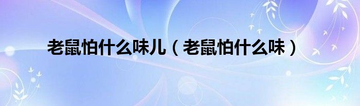 老鼠怕什么味儿（老鼠怕什么味）